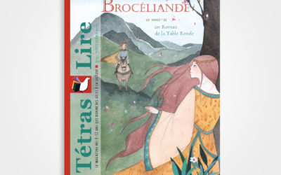 N°2. Brocéliande – Yvain ou La Dame de la fontaine