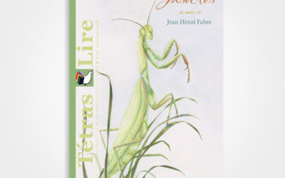 N°35. Insectes – Jean Henri Fabre