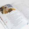 Nouvelle de Sherlock Holmes, Arthur Conan Doyle, illustration Jame's Prunier, Le diadème de Beryls, magazine enfant