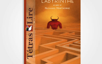 N°38. Labyrinthe – Nathaniel Hawthorne