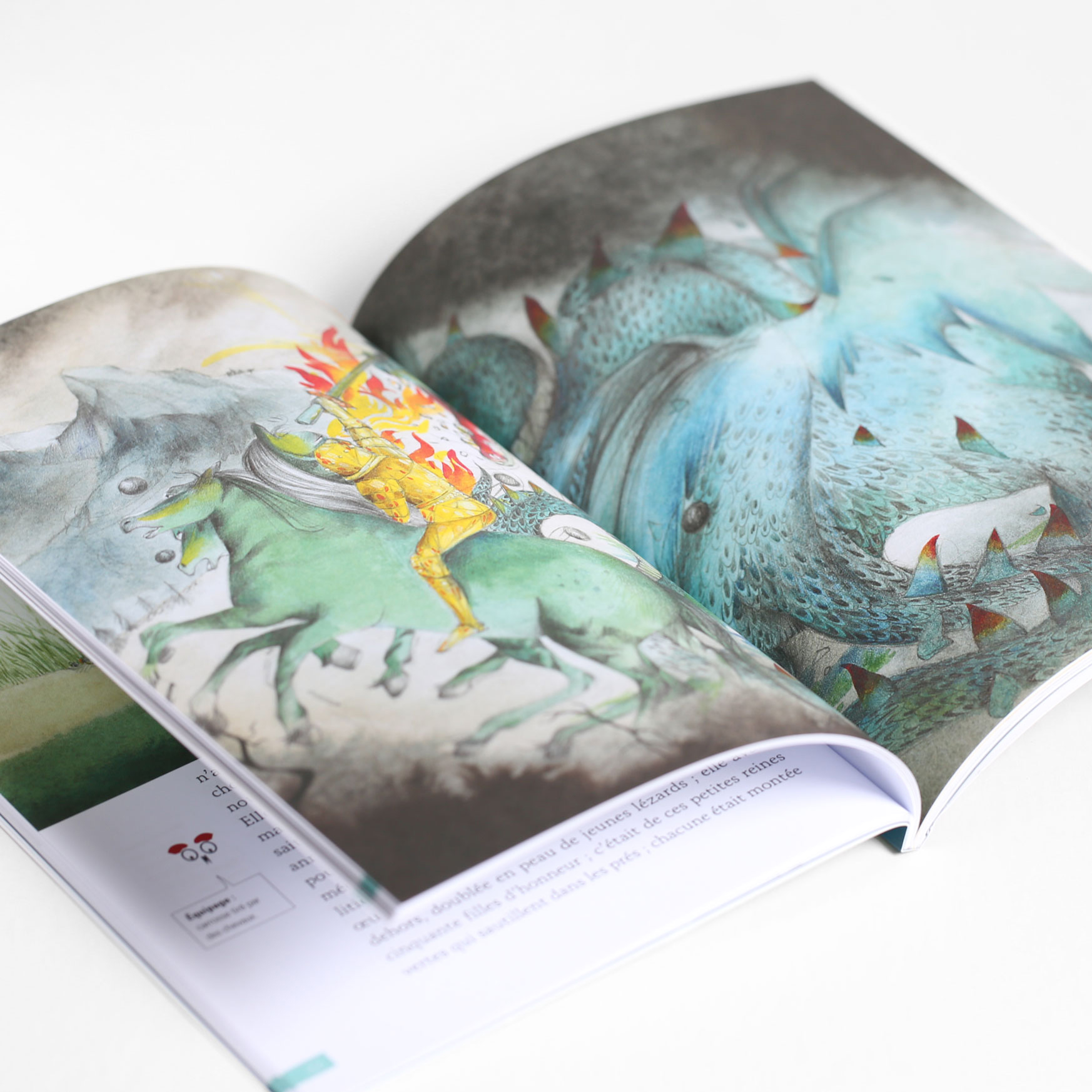 Madame d’Aulnoy, La grenouille bienfaisante, illustrations Xavière Devos, Eloïse Scherrer, contes pour enfants