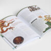Madame d’Aulnoy, La grenouille bienfaisante, illustrations Xavière Devos, Eloïse Scherrer, contes pour enfants