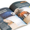 Pack CM2- Trio Nocturne – Image 5
