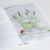 N°62. Jardin – Alphonse Karr – Image 4