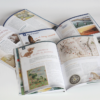 Pack - Trio Globe-Trotter – Image 3