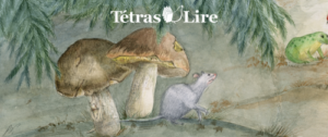 livret téléchargeable gratuit pour l'automne enfant 8 ans 9 ans 10 ans 11 ans 12 ans