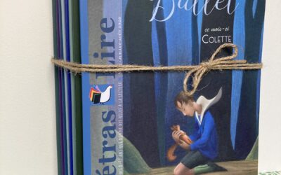 Pack – Collector 2017-2020