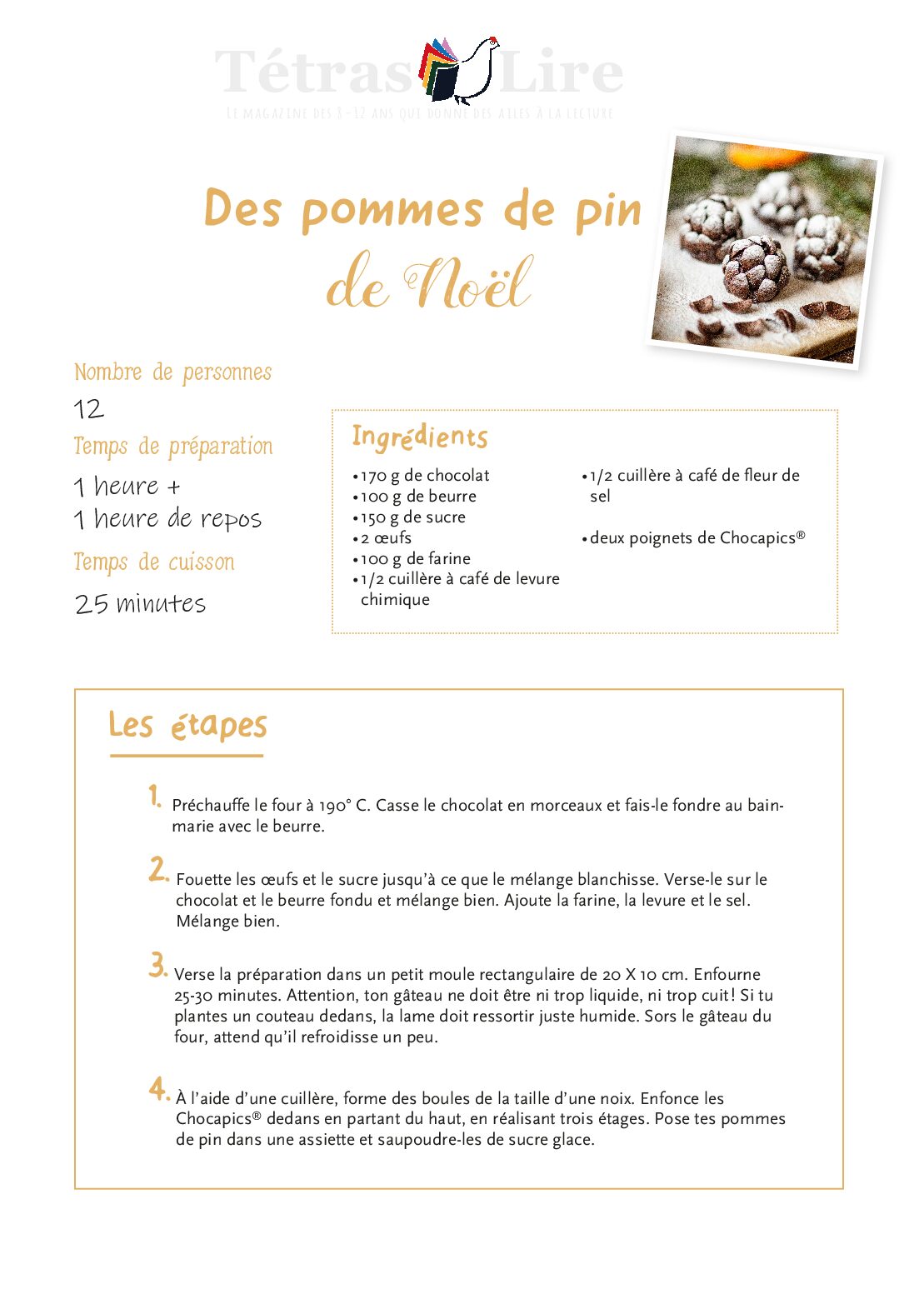 RECETTE_POMMES_DE_PIN_CHOCAPIC