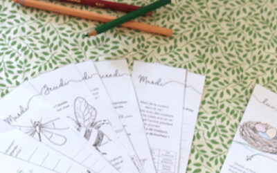 Pépite ! le livret de printemps à télécharger