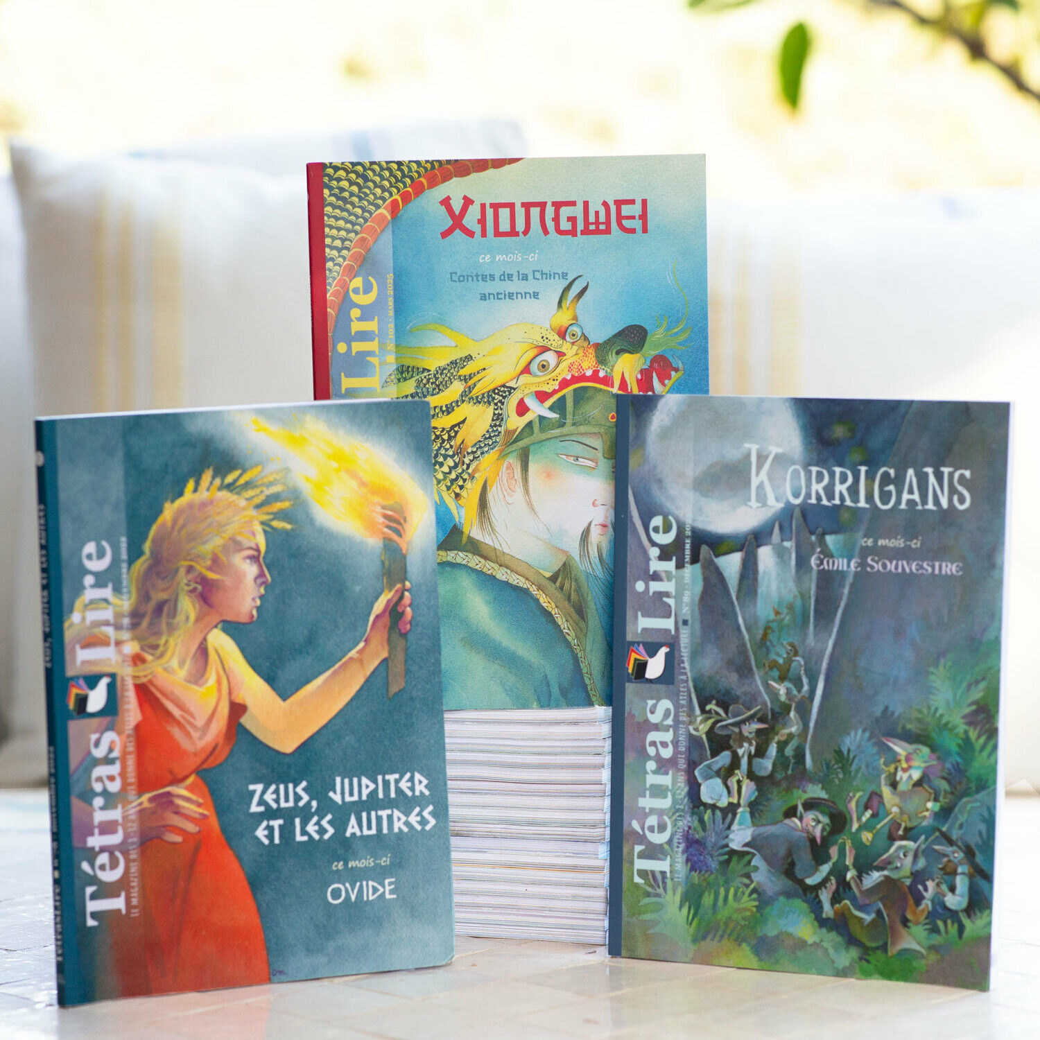 Je rentre en 6e - Vacances mystérieuses